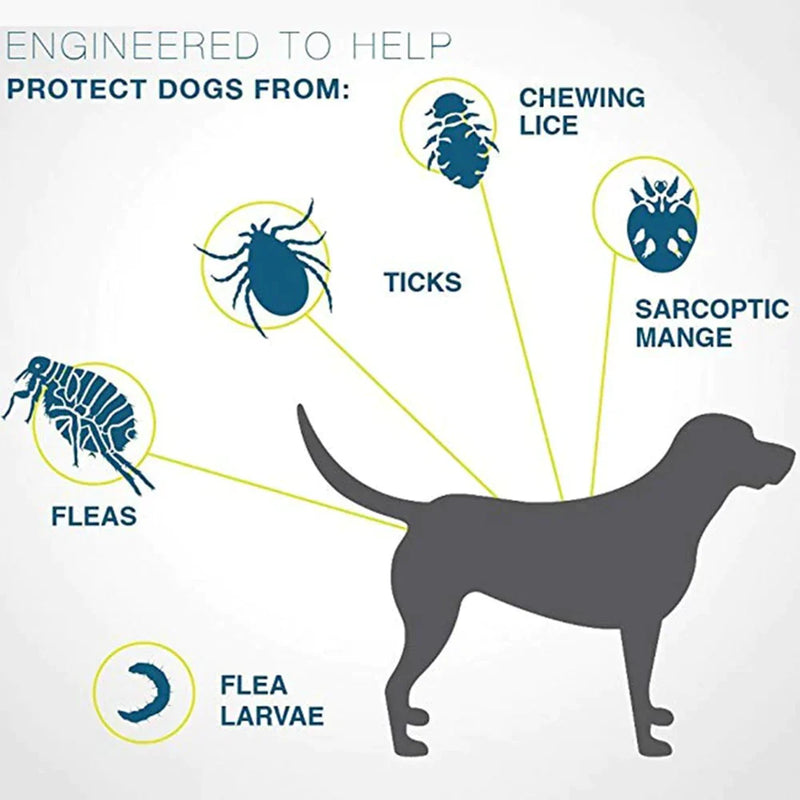 Coleira anti-pulgas para pets - Minha loja