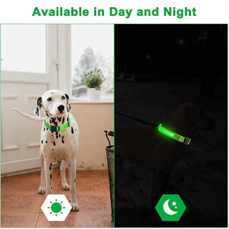 Coleira LED - pets - Minha loja