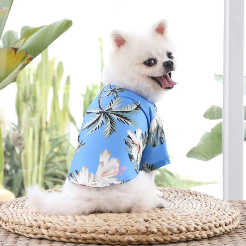 Camisa florida para pet - Minha loja