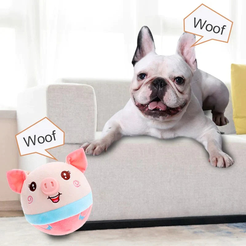 Brinquedo Interativo para Cães - WOOF TOY - Minha loja