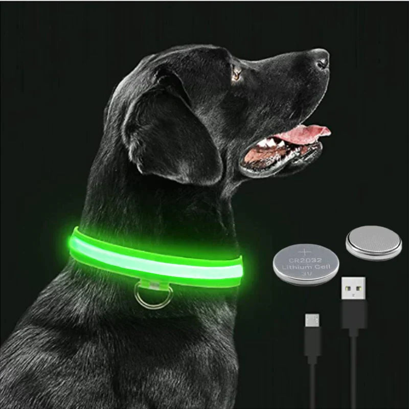 Coleira LED - pets - Minha loja